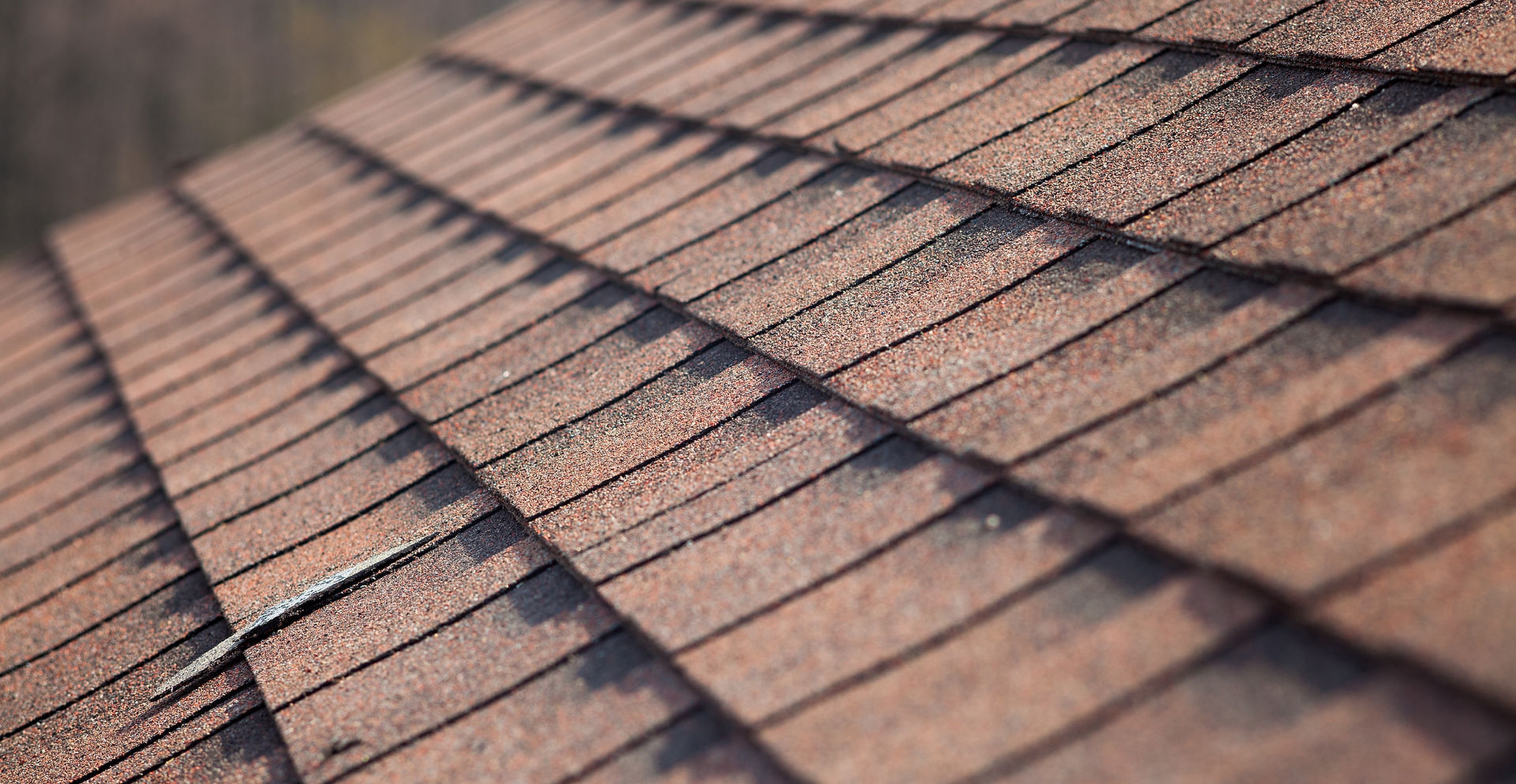 Close-up of professional roof shingle installation showing quality workmanship on a Scottish residential property